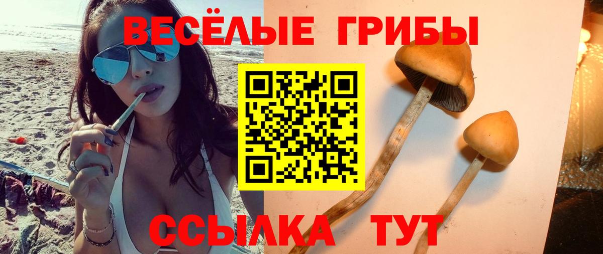 Галлюциногенные грибы мухоморы Тула